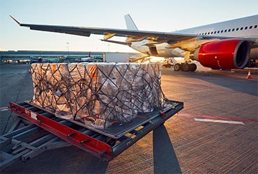 Air freight logistics